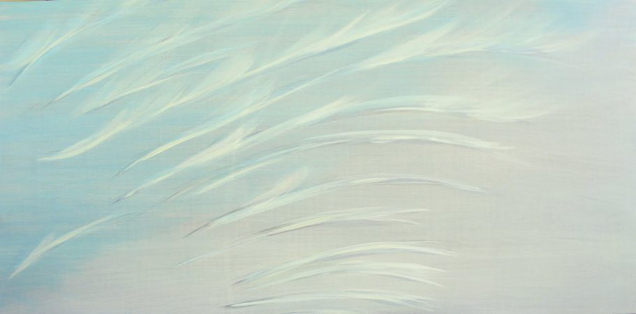 Early evening horsetails